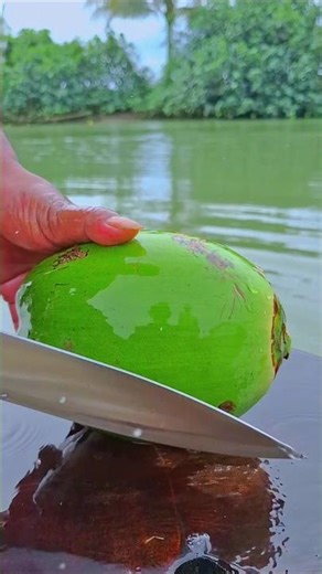 actually the coconut was perfect