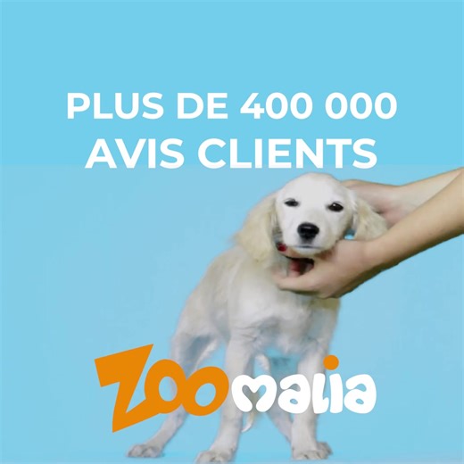 ⭐ 4,8/5 sur de 400 000 avis clients : chez Zoomalia, on met notre savoir-flair au service de vos compagnons 😉 | Zoomalia