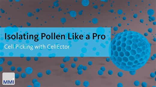 Isolation of Pollen with MMI CellEctor