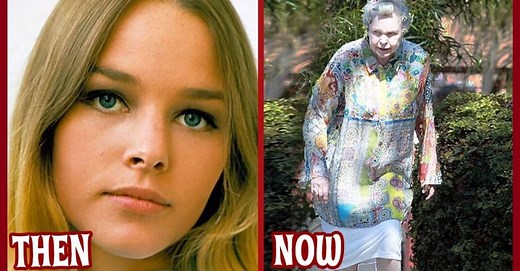 Mamas And The Papas Then And Now 2024