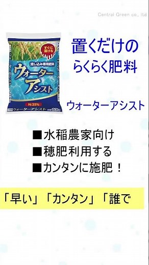 らくらく肥料、置くだけ【ウォーターアシスト】 セントラルグリーン株式会社 #shorts #肥料 #稲 #水田 #穂肥 #追肥 #農業 #農家