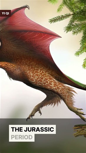 Bizarre Dinosaur With Bat-Like Wings! 🦇 Yi Qi