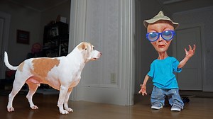 Dog confronts alien in disguise prank at home