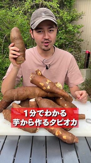 芋から作るタピオカの簡単レシピ