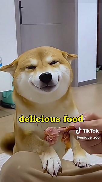 The Happiest Puppy Named Biscuit