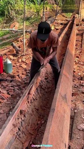 Forger un canoe à la main : Comment la tradition s'allie à la précision