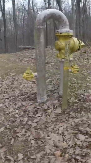 Trail Riding | TRX450R - CRF250RX #savesportquads #dirtbikeadventures #fourstroke #hondapowersports