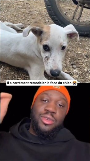 Moi qui croyais avoir tout vu 😭