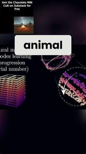UMAP Discovers Brain's Hidden Maze Secret: See It Here! #shorts