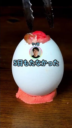 反抗期の娘を置いて出た親の決断