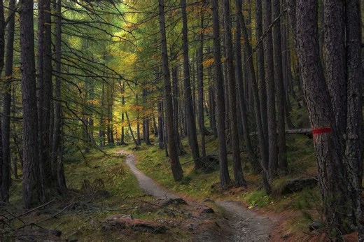 Canada opens world's longest hiking trail from coast to coast