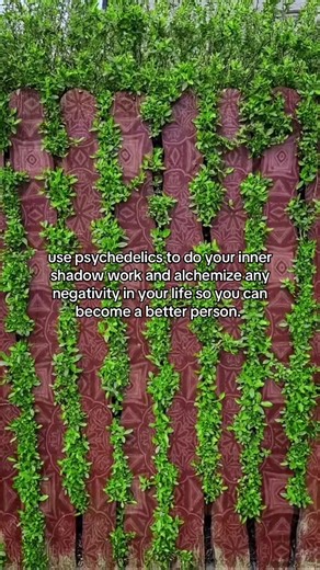 i can’t lie, psychedelics are super fun and can be used recreationally and usually are awesome to do so that way. but do try your best to have an intention if you are going to use. the medicine is spiritual, it has its own consciousness and higher self, talk to the herbs and fungi or the molecules. tell them what you want, explain to them what you’ve been going thru like it’s your elder or friend before you go into that altered state. there’s so many different ways and properties to use this med