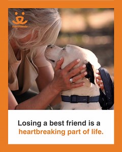 1K views · 4.2K reactions | Their presence may no longer be seen, but it will always be felt. Remember a cherished pet with a memorial gift in their name. | Best Friends Animal Society | Facebook