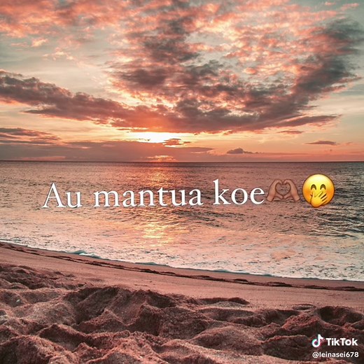 Jipajiroa Stringband Performance Highlights