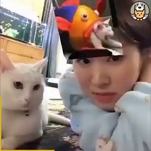 1.9M views · 10K reactions | The most unique funny cats | Pets Farm | Facebook