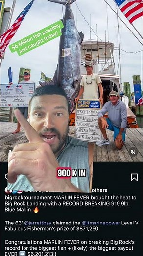 HUGE Blue Marlin Sets New Record at Big Rock #short