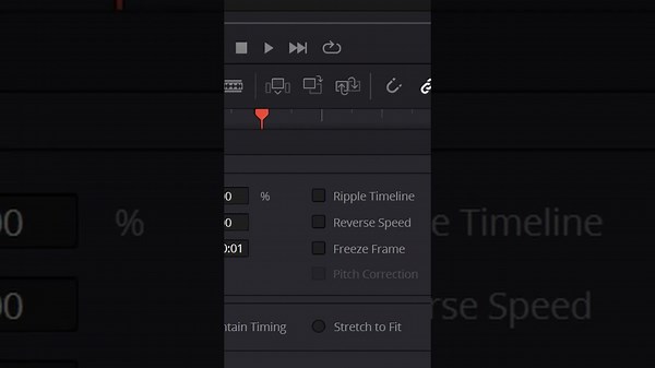 Create a SNAPSHOT - DaVinci Resolve for NOOBS! - Tip #15