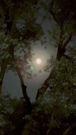 Tonight’s Full Moon Looks Straight Out of a Werewolf Scene