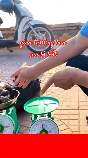 gian thương bán cua bị bắt quả tang #shorts