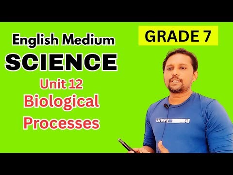 Grade 7 English Medium Science | Unit 12 | Biological Processes
