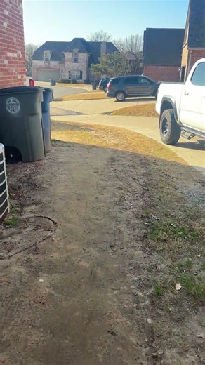 Drainage Fix Context, Road vs Backyard Elevation