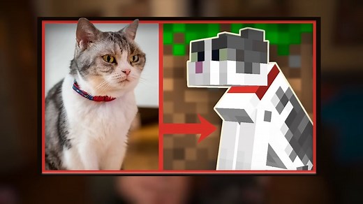 Popular Minecraft cat Jellie has passed away, fans send out heartfelt condolences