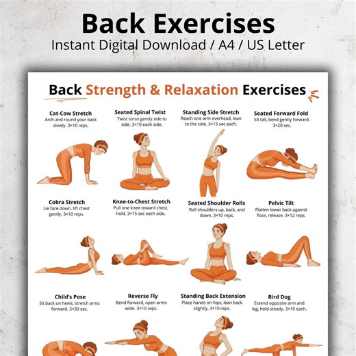 Back Exercises | Seated and Standing Back Exercise Poster | Upper and Lower Back Home Workout Printable Chart | Gentle No Equipment Exercise - Etsy UK