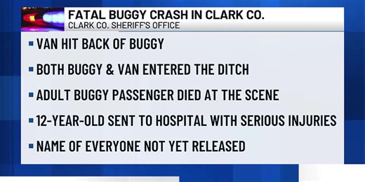 One dead after vehicle vs. buggy crash