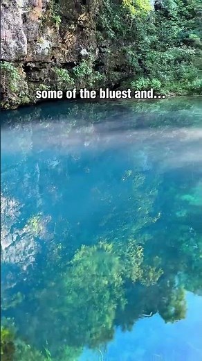 One of the most blue & beautiful natural springs in Missouri
