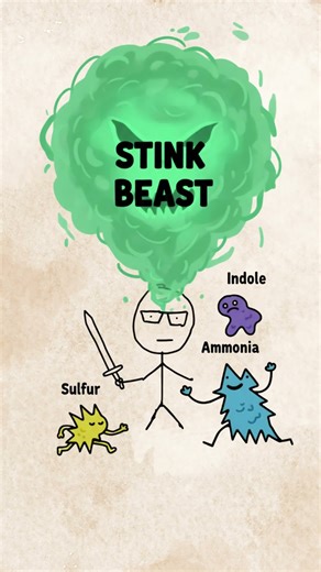 Why Poop Smells So Bad (Evolution Explained in under 60 Seconds) 💩🧠