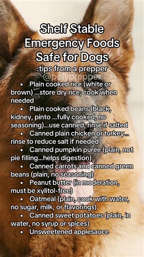 Shelf stable foods that are safe for dogs during short-term emergencies. #emergencypreparedness #prepper #economiccrisis #tariffs #preptok