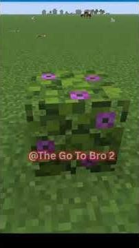 Blueberries In Minecraft?