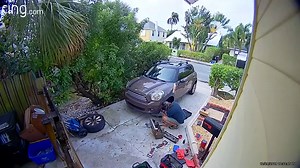 Neighbor Calls Cops After Mistaking Parrot For Woman Screaming For Help