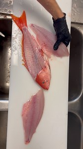 48K views · 643 reactions | Do you call them Vermilion Snapper or B Liners? | Reed_thefishmonger | Facebook
