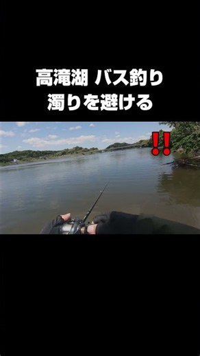 【高滝湖 バス釣り】濁っていてもあきらめない #shorts #バス釣り #おかっぱり #bassfishing #fishing