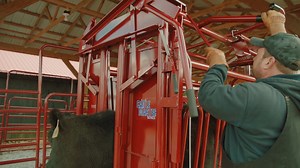 Working cattle shouldn’t be a struggle. That’s why Tarter offers a full lineup of squeeze chutes designed to make the job easier, safer, and more efficient. Whether you need an economical option for small herds or a heavy-duty hydraulic chute for high-volume operations, we’ve got you covered. ✔ Automatic, manual, and hydraulic models to fit your needs ✔ Safe and secure handling with easy access for vaccinations, branding, and more ✔ Built tough with a corrosion-resistant finish for long-lasting 