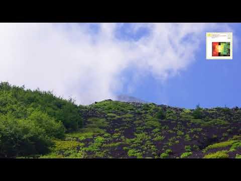 Mozart : Symphony No.31 in D major, K.297 (300a) "Paris" / Böhm 1966