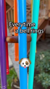 I'm NOT cryin- 😭 ...actually I am. Drop your angel's name below, so we can remember them together! ❤️ Each musical windchime funds 4 life-saving meal donations for shelter dogs in loving memory of your angel! | The Rainbow Bridge