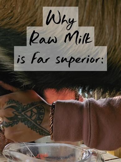 Goat Milk: A Beautiful Relationship with Animals & Land
