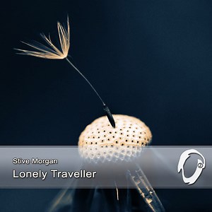 Stive Morgan - Lonely Traveller