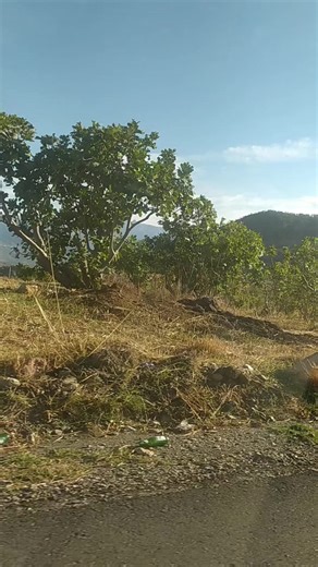 Vidéos de nousa riso (@nousariso) avec son original - RANDA STAYFIA