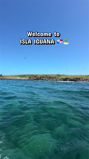 Explore Isla Iguana: Panama's Natural Sanctuary
