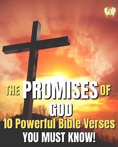 The PROMISES Of God (10 Powerful Bible Verses You Must Know!) Thank You For Supporting I Believe. Please Be Aware That This Page Features Illustrations/Depictions/Dramatizations For Our Audience To Watch And Hopefully Help Strengthen Their Belief Even More. We Aim To Serve Our God. We Hope That You Enjoy Your Stay Here. God Bless 🙏 | I Believe