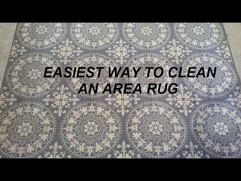 Easiest way to clean an area rug