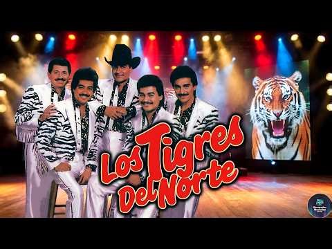 LOS TIGRES DEL NORTE Puras Canciones Perronas 🔥 Éxitos Legendarios