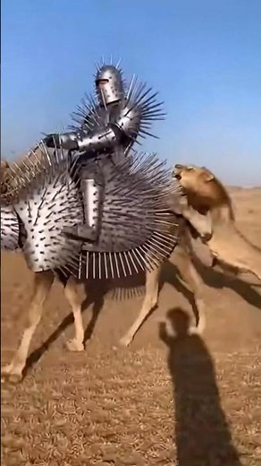Armored Survival on the Savanna: Man on Camel vs Lions