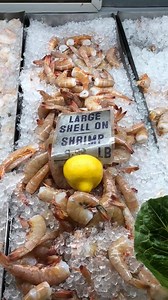 Come to the FISH MARKET Get your fresh fish from our Display Refrigerated Cases. We have such a GREAT variety of fish. “We Have The Fish!” | The Fish Market Southside