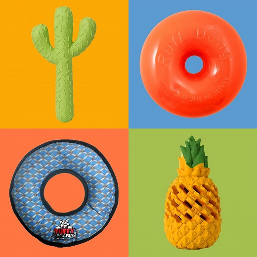 22 Best Indestructible Dog Toys for the Toughest Chewers