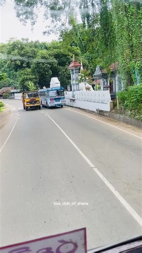 shana!💛 (@bus_club_of_shana)’s videos with original sound - Zҽɾσ Tҽɱρʅαƚҽ 🧃•