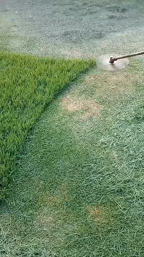 Amazing Garden Grass Cutting Machine | Overall cheep